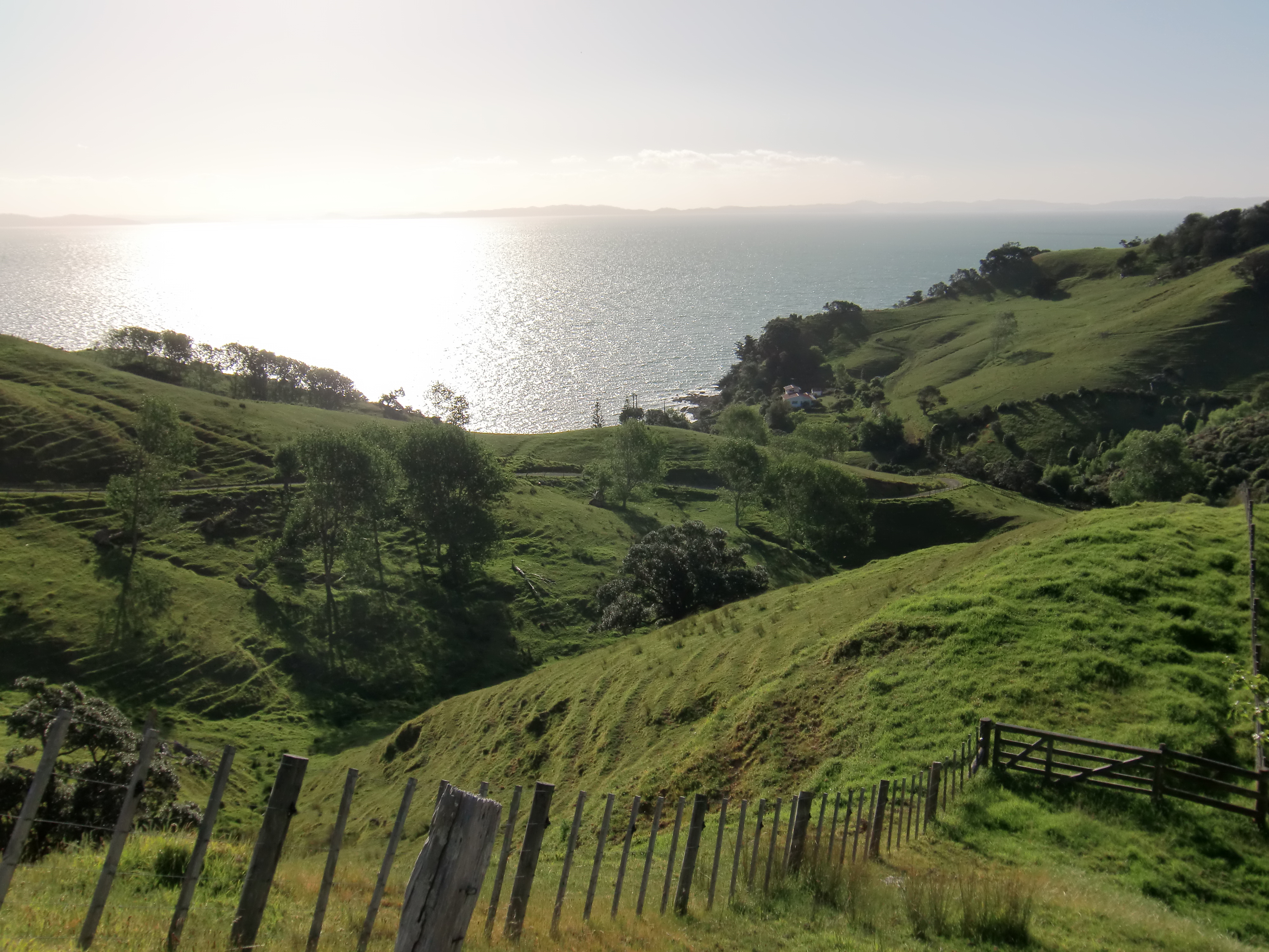 Countryside New Zealand